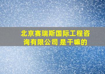 北京赛瑞斯国际工程咨询有限公司 是干嘛的